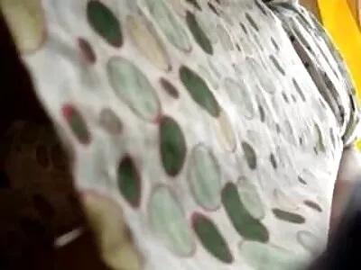 Super tiukka ja siro fre3 porno korealainen vauva saa impaled kukko