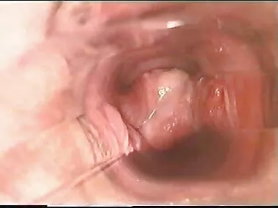 Hän porno xx 18 pitää siitä pitkästä ja syvästä