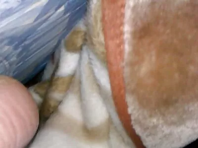 Kuuma yläosattomia tyttöjä x porno v rannalla